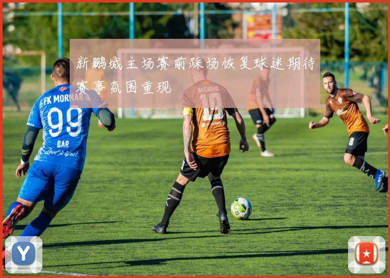 新鹏城主场赛前踩场恢复球迷期待赛事氛围重现